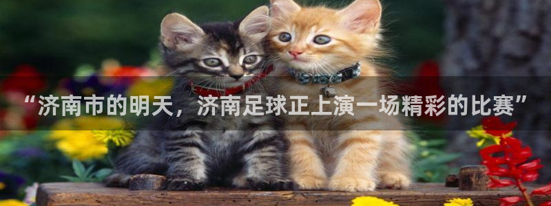 c7娱乐网页登录版