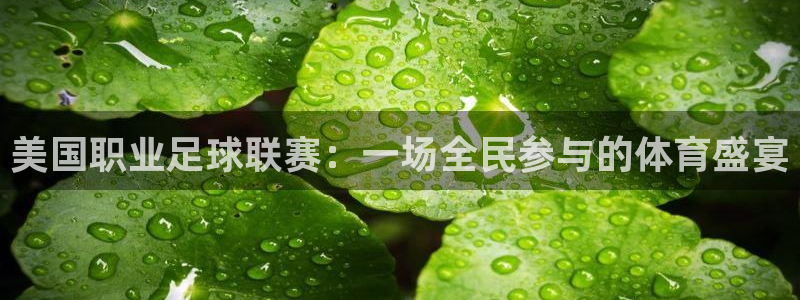 注册账号c7娱乐：美国职业足球联赛：一场全民参与的体育盛宴