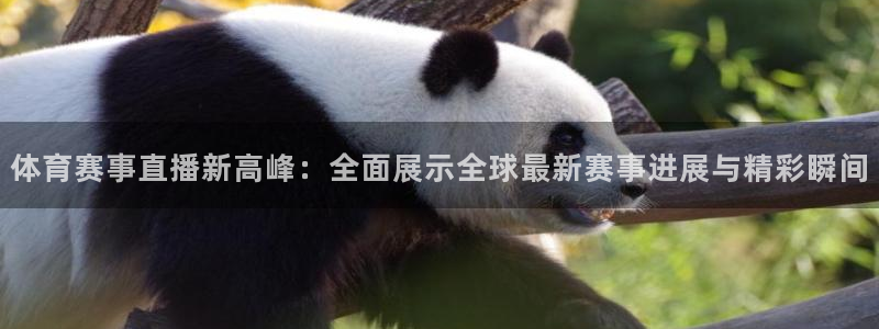 c7娱乐网页登录版：体育赛事直播新高峰：全面展示全球最新赛事进展与精彩瞬间