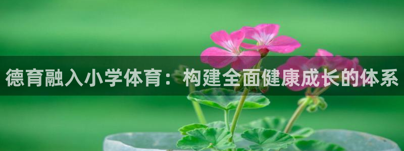 c7娱乐网页：德育融入小学体育：构建全面健康成长的体系