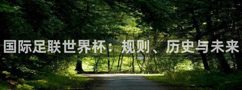 c7娱乐下载：国际足联世界杯：规则、历史与未来