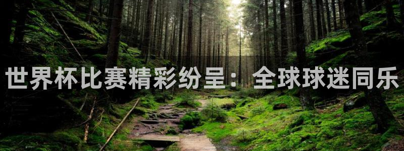 c7娱乐备用下载：世界杯比赛精彩纷呈：全球球迷同乐