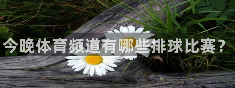 c7娱乐注册登录：今晚体育频道有哪些排球比赛？