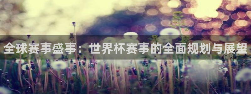 c7娱乐苹果：全球赛事盛事：世界杯赛事的全面规划与展望