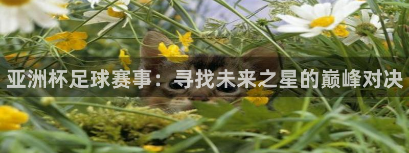 c7下载官网版：亚洲杯足球赛事：寻找未来之星的巅峰对决