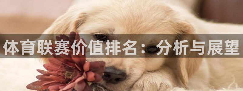 c7娱乐官网下载注册：体育联赛价值排名：分析与展望