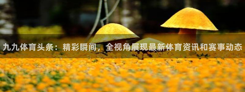 c7娱乐官网版下载：九九体育头条：精彩瞬间，全视角展现最新体育资讯和赛事动态