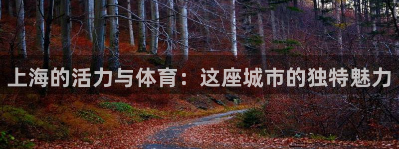 c7官网app下载安装：上海的活力与体育：这座城市的独特魅力