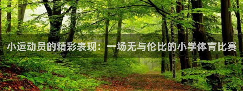 c7体育娱乐app下载：小运动员的精彩表现：一场无与伦比的小学体育比赛