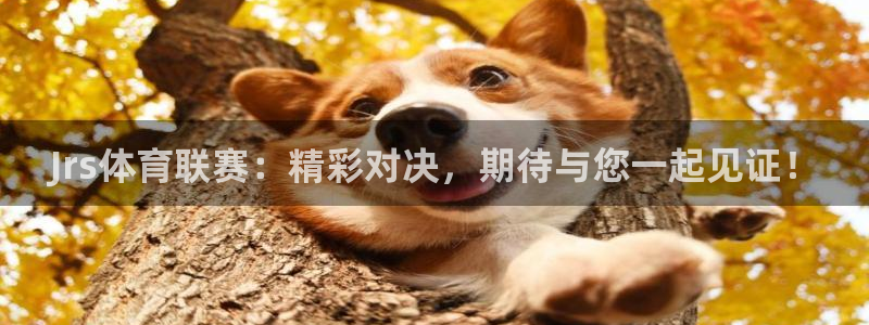 c7娱乐游戏中心：Jrs体育联赛：精彩对决，期待与您一起见证！