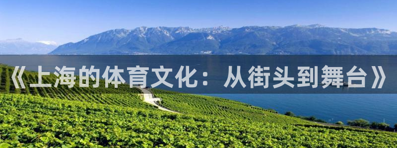 c7体育娱乐app下载：《上海的体育文化：从街头到舞台》