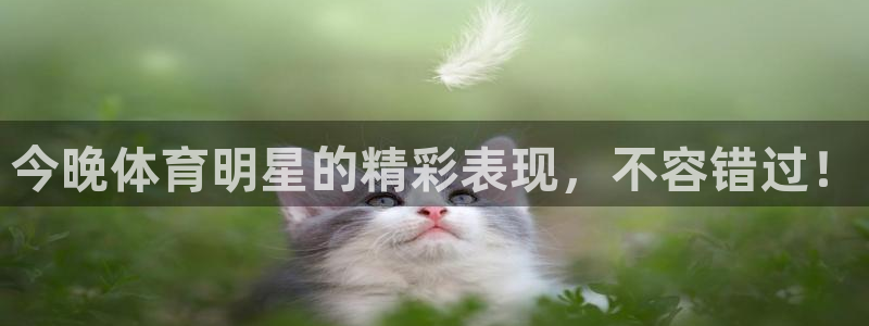 c7娱乐下载平台