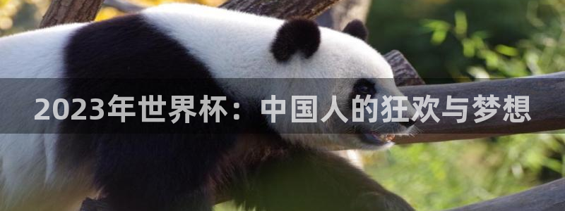c7娱乐app