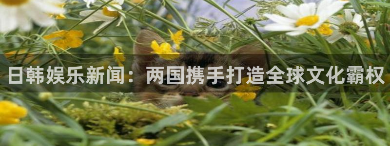c7娱乐官网