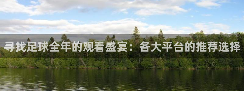 c7娱乐平台官网入口下载：寻找足球全年的观看盛宴：各大平台的推荐选择