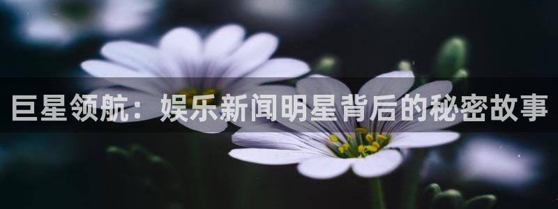 c7南宫娱乐官网入口介绍：巨星领航：娱乐新闻明星背后的秘密故事